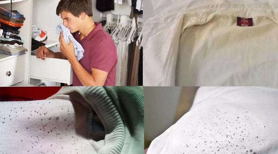 衣服護理小常識：潮濕天衣物有霉味不宜穿  該怎么辦？