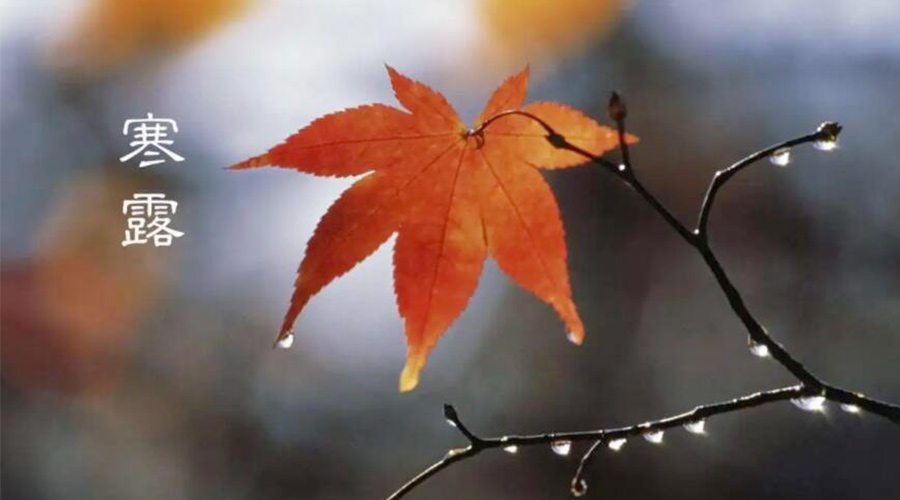 寒露時節(jié)！金環(huán)電器提醒大家要注意的事項