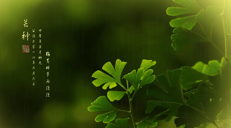 芒種時(shí)節(jié)！金環(huán)電器提醒大家的注意事項(xiàng)