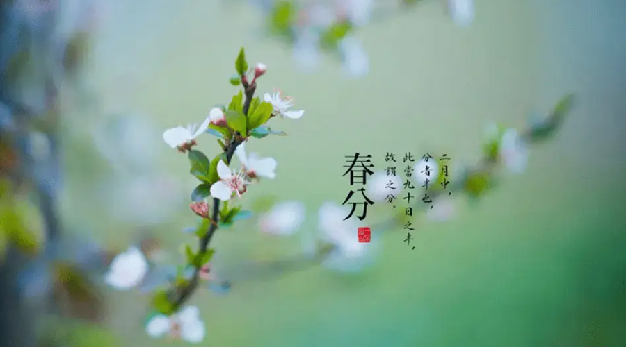 春分雨水多易生菌！金環(huán)電器提醒你衣物要注意處理