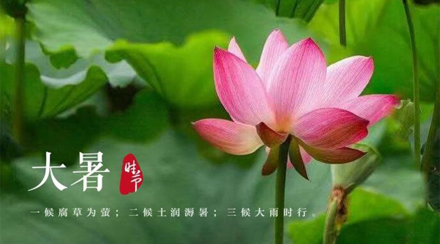 大暑時(shí)節(jié)！金環(huán)電器提醒大家要注意的事項(xiàng)