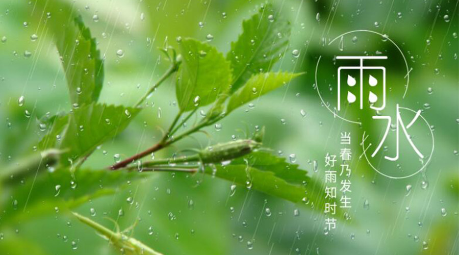 雨水時節(jié)！金環(huán)電器提醒大家要注意的事項(xiàng)